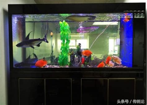 房間 魚缸|魚缸能招財…但千萬別放這些地方！觸犯「5禁忌」反損財 